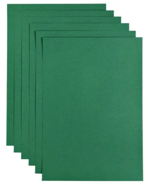 Kopieerpapier Papicolor A4 200gr 6 vel dennengroen-1