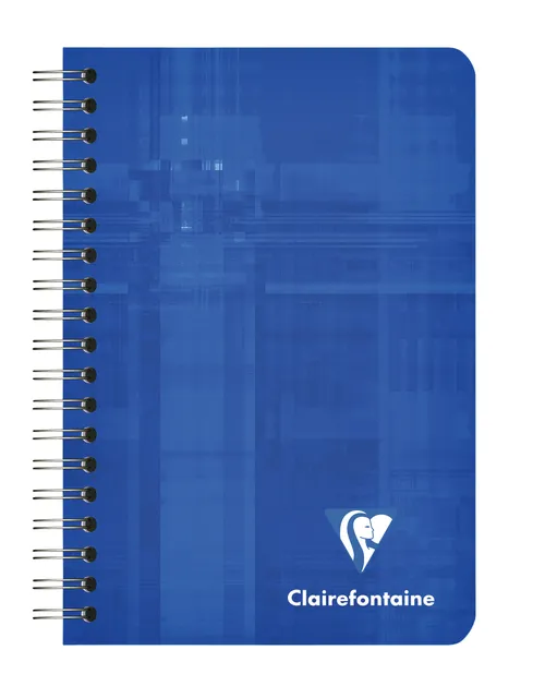 Notitieboek Clairefontaine A7+ 95x140 ruit 5x5 100blz 90gr assorti-1