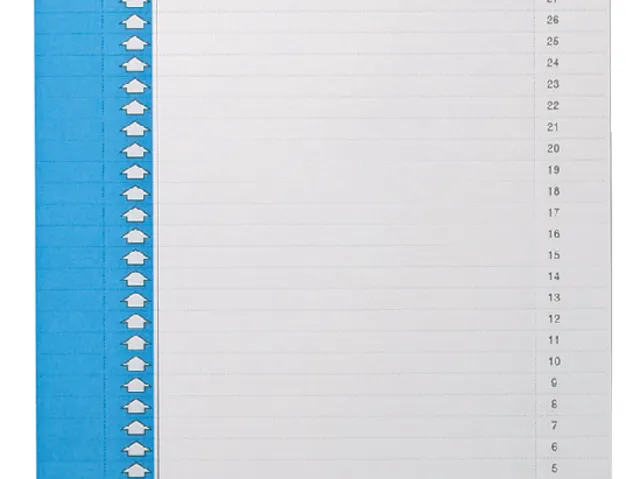 Ruiterstrook Elba Nr 0 297x6mm verticaal blauw 10 vel-1