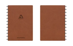 Schrift Adoc Business A4 ruit 5x5mm 144 pagina's 90gr bruin-1