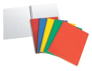 Schrift Aurora 75x110mm ruit 5x5mm 160 pagina's 60gr assorti-1