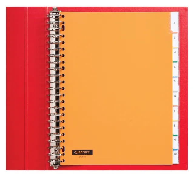 Tabbladen Quantore 23-gaats 10-delig met venster assorti PP-1